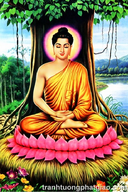 Bổn Sư Thích Ca Mâu Ni Phật (135)